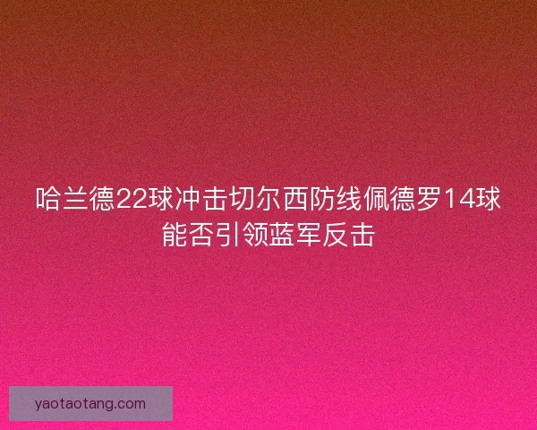 哈兰德22球冲击切尔西防线佩德罗14球能否引领蓝军反击